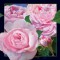 Pocztówka 3D - Róże