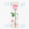 Kartki samoprzylepne pion Róża różowa