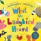 Macmillan CB: What the Ladybird Heard 1