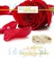 Album z okazji rocznicy ślubu (czerwona róża)